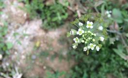 最喜欢高冷范女生的星座男