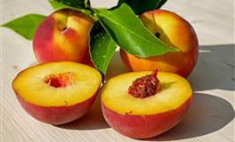 厉害了，这些星座一天可以发好几条的朋友圈