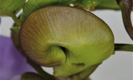 苏珊米勒每日运势2021年6月9日