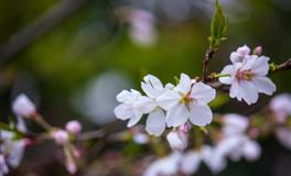 婆媳关系不算事儿！这些星座女能够很好的处理