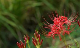 性格随和又百搭的4个星座