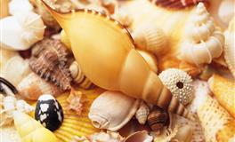 李云天每日生肖运势2021年6月24日