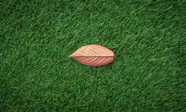 7月感情运不济，有可能离婚的星座