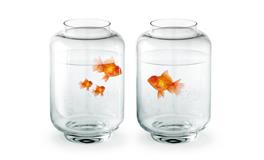 未来有什么，会让白羊座打满鸡血、奋力往前？