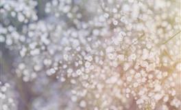 杀破狼金牛座一周运势(2021.8.23～8.29)