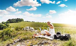 星座女神双鱼座一周运势(8.23-8.29)