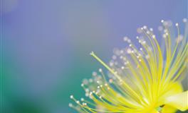 佩妮天秤座每周占星运势9.20-9.26