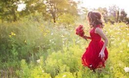 杨清华生肖猪一周运势9月6日—12日