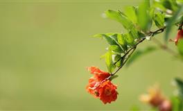 2021下半年掉入钱眼里，勇敢突破旧有价值观的星座