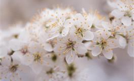 花甜处女座一周运势（9.6-9.12）