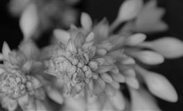 流川枫天秤座2021年9月运势