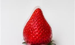 傅子绮金牛座2021年10月运势