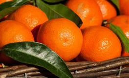 天秤座喜欢的两人关系是怎样的呢？