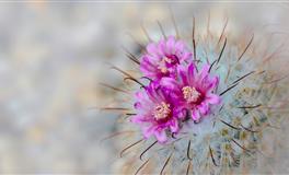 傅子绮天秤座本周运势10.29-11.3