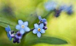 李云天每日生肖运势2021年10月22日