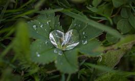 闹闹女巫店金牛座本周运势(10.25-10.31)