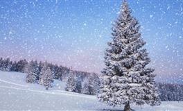 熊神进12生肖一周吉时吉事提点（10.23-10.29）