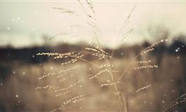 佩妮天秤座每周占星运势10.11-10.17