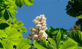 判答占星水瓶座一周运势（10.25-10.31）