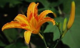 艾菲尔处女座一周运势10.4-10.10