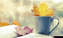 单身节快乐！找出12星座【总是单身】的原因