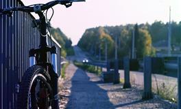 娜迪亚金牛座本周运势（11.15-11.21）