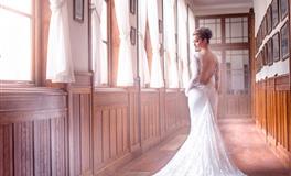 艾菲尔十二生肖立冬运势(11.7-11.21)