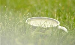 金牛座会喜欢有这三大特质的人