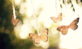 红鸾星动，2022年被桃花包围，爱情一帆风顺的4个星座！