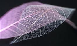 玛法达天蝎座一周运势（11.24-11.30）