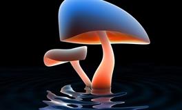 看起来很单纯，其实城府很深，妒忌极强，关键还很记仇的三大星座