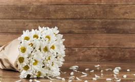 展钰凝狮子座一周运势(12.13-12.19)