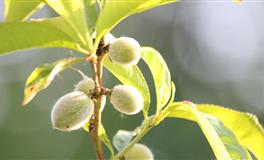 苏珊米勒2021年12月巨蟹座运势完整版