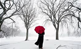 羲邑师姐生肖龙2022壬寅年整体运程