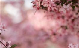 杀破狼天秤座一周运势(2021.12.27-2022.1.2)