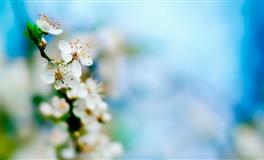 Lunita天秤座一周运势(12.13– 12.19)