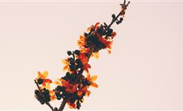 玛法达射手座一周运势（12.1-12.7）