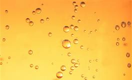 裴恩星座魔羯座一周运势（12.20-12.26）