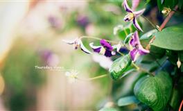 2021年最后15天，12星座还能翻身转运吗？！