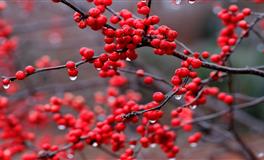 什么是破太岁？2022年哪些生肖破太岁？