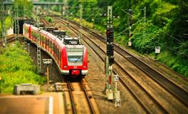 苏珊米勒每日运势2021年12月14日