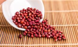 Pandora占星小巫12星座一周塔罗运势（12.11-12.17）