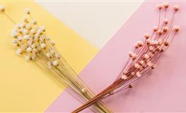 玛法达射手座2022年运势