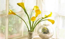 苏珊米勒一周星座运势（1.17-1.23）