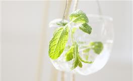 娜迪亚天秤座本周运势（1.17-1.23）