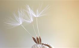 一旦陷入爱情，就无法自拔的星座，爱上了就深深烙印在心中