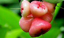 笑起来最好看的三大星座，回眸一笑百媚生，让男人为之疯狂