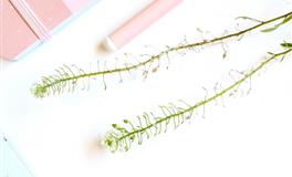 2022年第一次水逆对水瓶座的影响以及开运指南