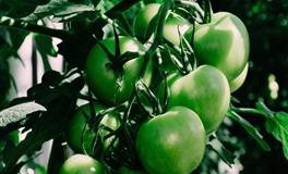 最佳倾听者排前三的星座，天秤意料之中，还有两个会是谁？