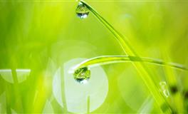 面对爱情最应该勇敢一点的三大星座女